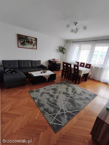 Mieszkanie do wynajecia