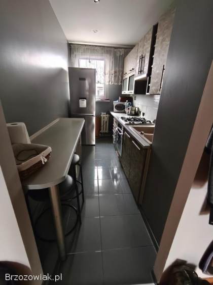 Mieszkanie do wynajecia