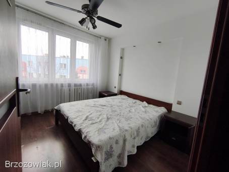 Mieszkanie do wynajecia