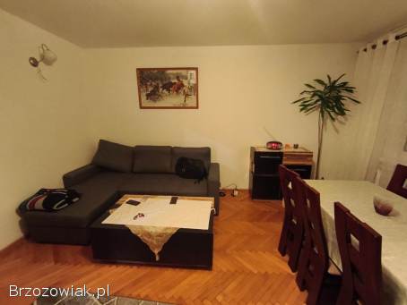 Mieszkanie do wynajecia