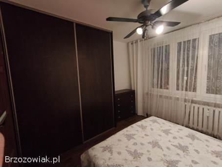 Mieszkanie do wynajecia