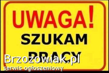Szukam pracy dorywczej od zaraz