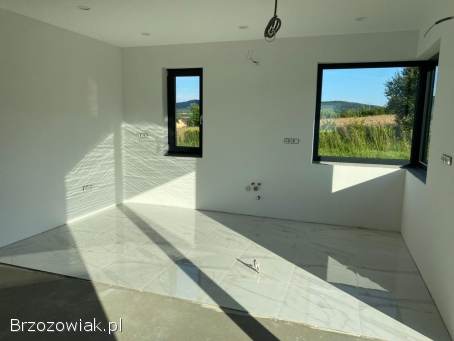 Remonty i wykończenie mieszkań i domów