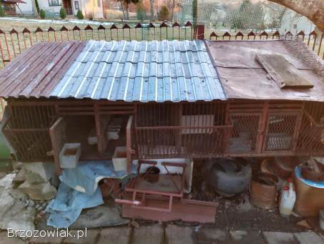 Klatka na króliki