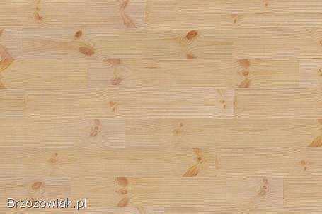 Drewniane panele ścienne PINO (cena: 199,  99 zł / 1 m²)