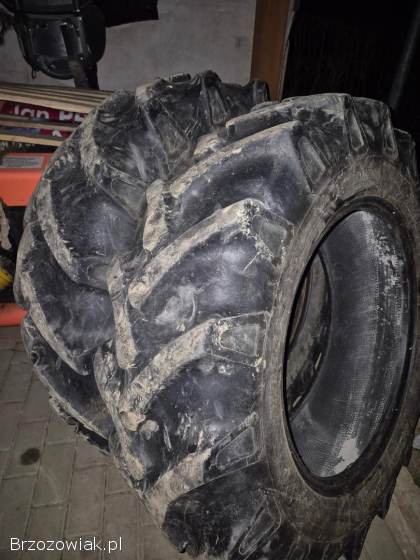 Opony Malhotra 12.  4-24