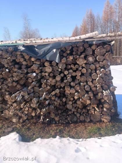 Sprzedam Brzozę!