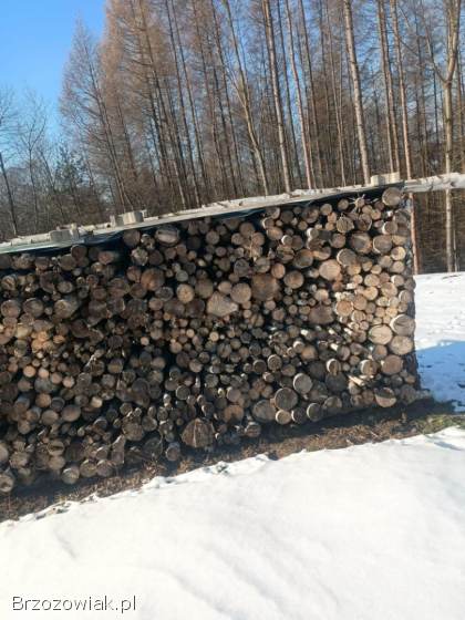 Sprzedam Brzozę!