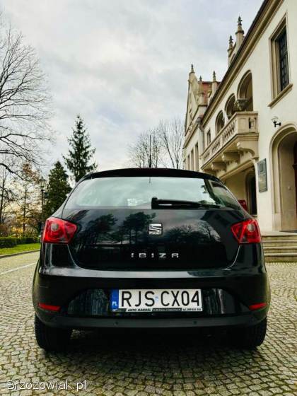 Seat Ibiza 2014