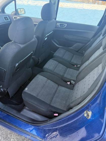 Peugeot 307 1.  6 LPG HAK temp 2004