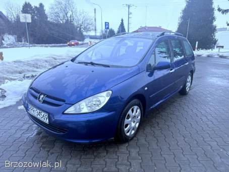 Peugeot 307 1.  6 LPG HAK temp 2004