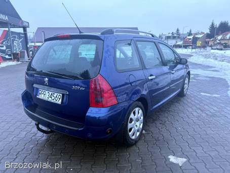 Peugeot 307 1.  6 LPG HAK temp 2004