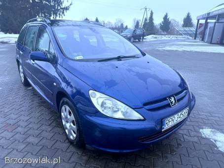 Peugeot 307 1.  6 LPG HAK temp 2004
