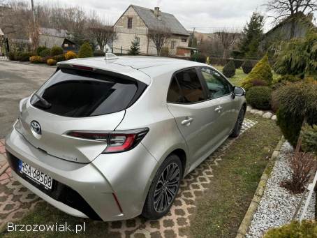 Toyota Corolla 2023 hybryda