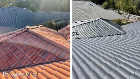 Malowanie Dachów,  Mycie,  Czyszczenie