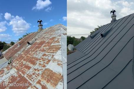 Malowanie Dachów,  Mycie,  Czyszczenie