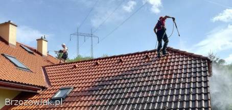 Malowanie Dachów,  Mycie,  Czyszczenie