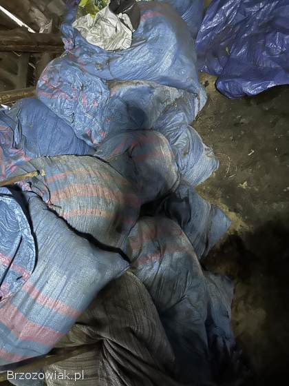 Torf N.  P.  K z perlitem przygotowany pod sadzonki okazja cenowa!