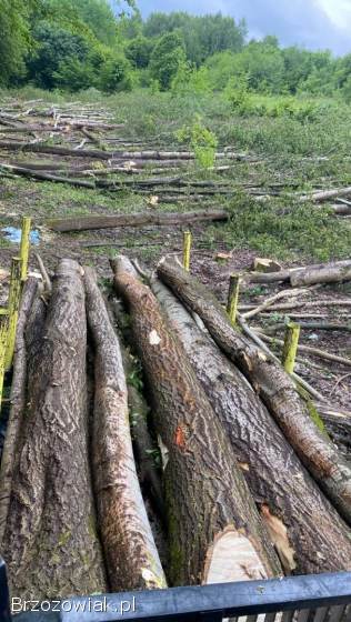 Kompleksowe czyszczenie działek -  100 zadowolenia