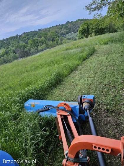 Kompleksowe czyszczenie działek -  100 zadowolenia