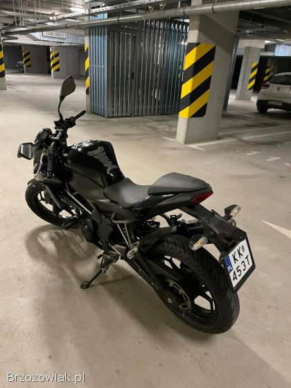 Kawasaki Z 250SL 2015