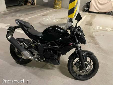 Kawasaki Z 250SL 2015