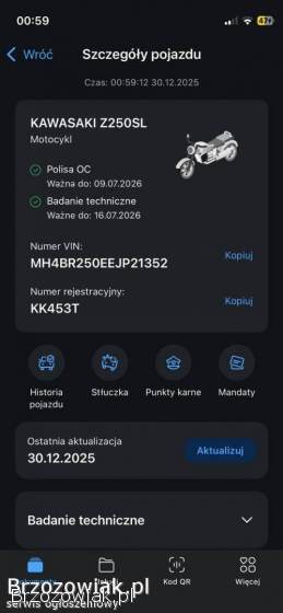 Kawasaki Z 250SL 2015