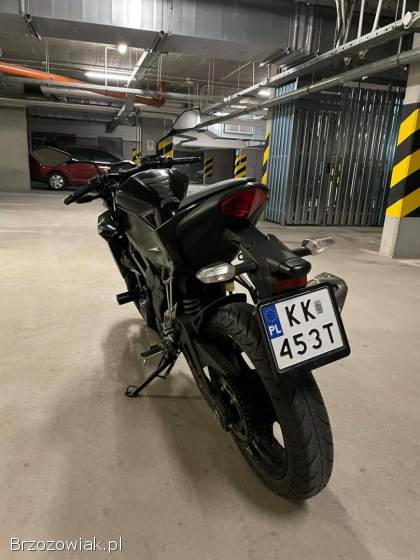 Kawasaki Z 250SL 2015