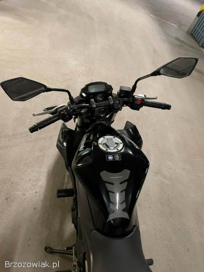 Kawasaki Z 250SL 2015