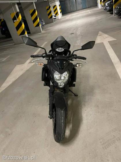 Kawasaki Z 250SL 2015