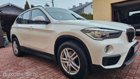 BMW X1 2.  0D sDrive 18D 2019
