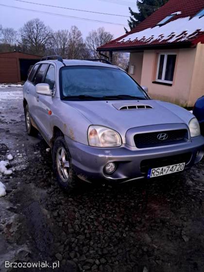 Hyundai Santa Fe 2002