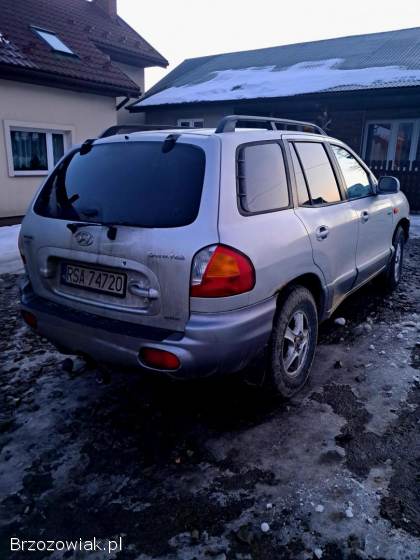 Hyundai Santa Fe 2002