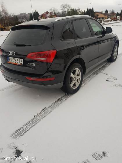 Audi Q5 2010