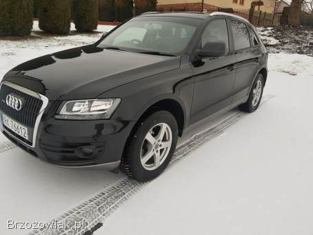 Audi Q5 2010