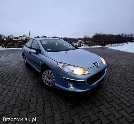 Peugeot 407 2006