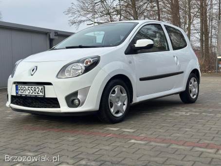 Renault Twingo 1.  2 16V Benzyna 2010