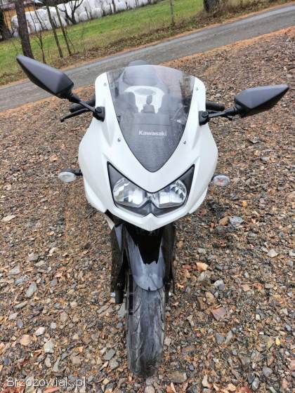 Kawasaki Ninja 250R NINJA 2011
