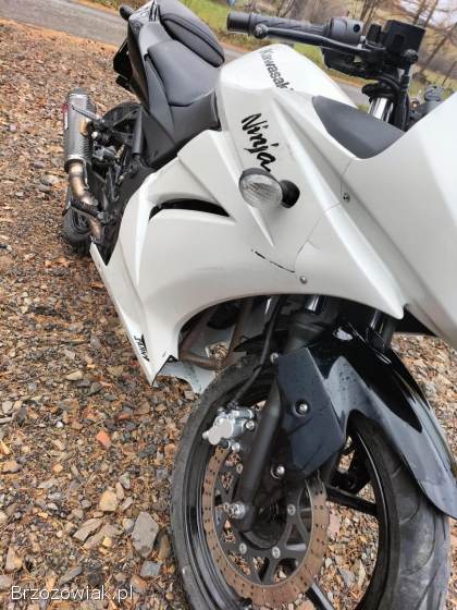 Kawasaki Ninja 250R NINJA 2011