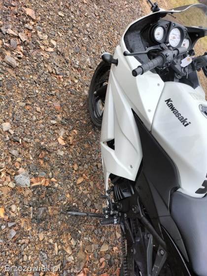 Kawasaki Ninja 250R NINJA 2011