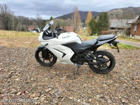 Kawasaki Ninja 250R NINJA 2011