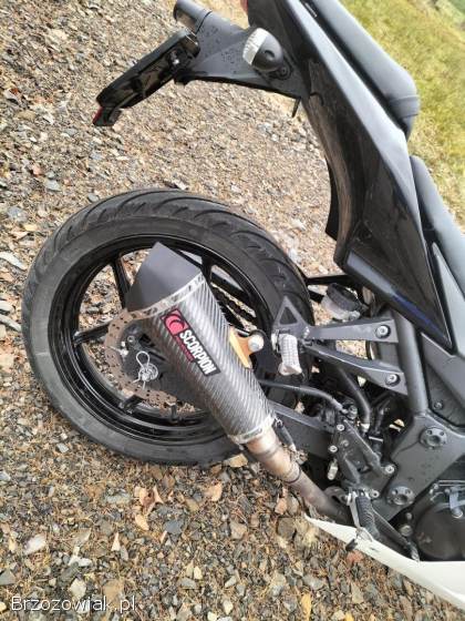 Kawasaki Ninja 250R NINJA 2011