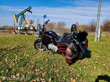 Hyosung Aquila GV 2015