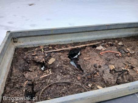 Laweta przyczepka pod minikoparkę