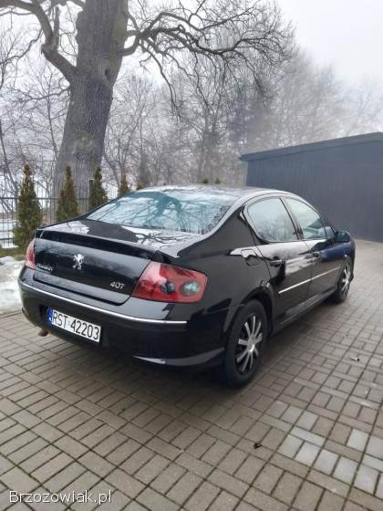 Peugeot 407 407 benzyna 2.  02 2005