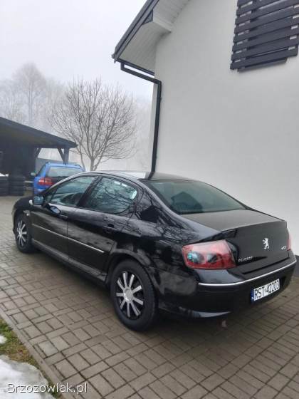 Peugeot 407 407 benzyna 2.  02 2005