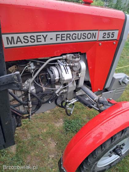 Massey Ferguson 255