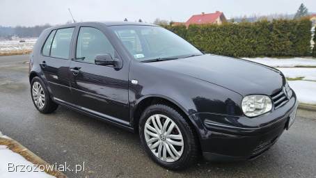 Volkswagen Golf 1.  9TDI 130KM 4x4 2002