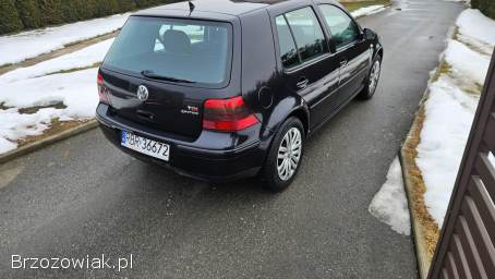 Volkswagen Golf 1.  9TDI 130KM 4x4 2002