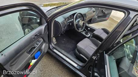 Volkswagen Golf 1.  9TDI 130KM 4x4 2002